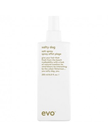 evo salty dog salt spray 6.8oz